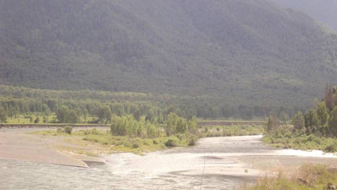 Земельные участки в урочище Кангай, правый берег реки Катунь.