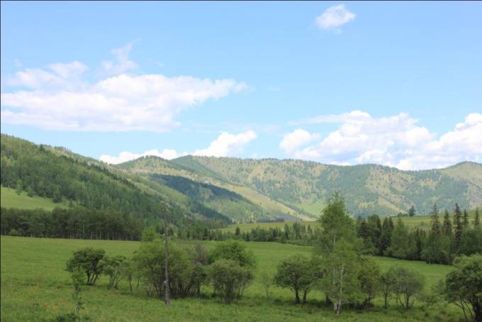 Участки вдоль реки Тет-Тыс-Кен. Горный Алтай Чемальский район. Вид на участок.
